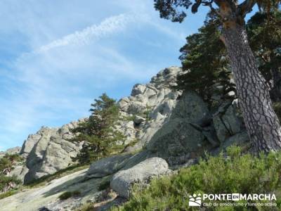 Senda Herreros - Puerto de Navacerrada - Valle de Fuenfría - Ducha de los Alemanes -Embalse Berceas